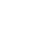 RADISSON LOGO W