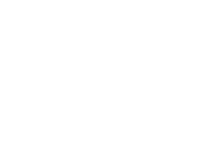 DISSIDI